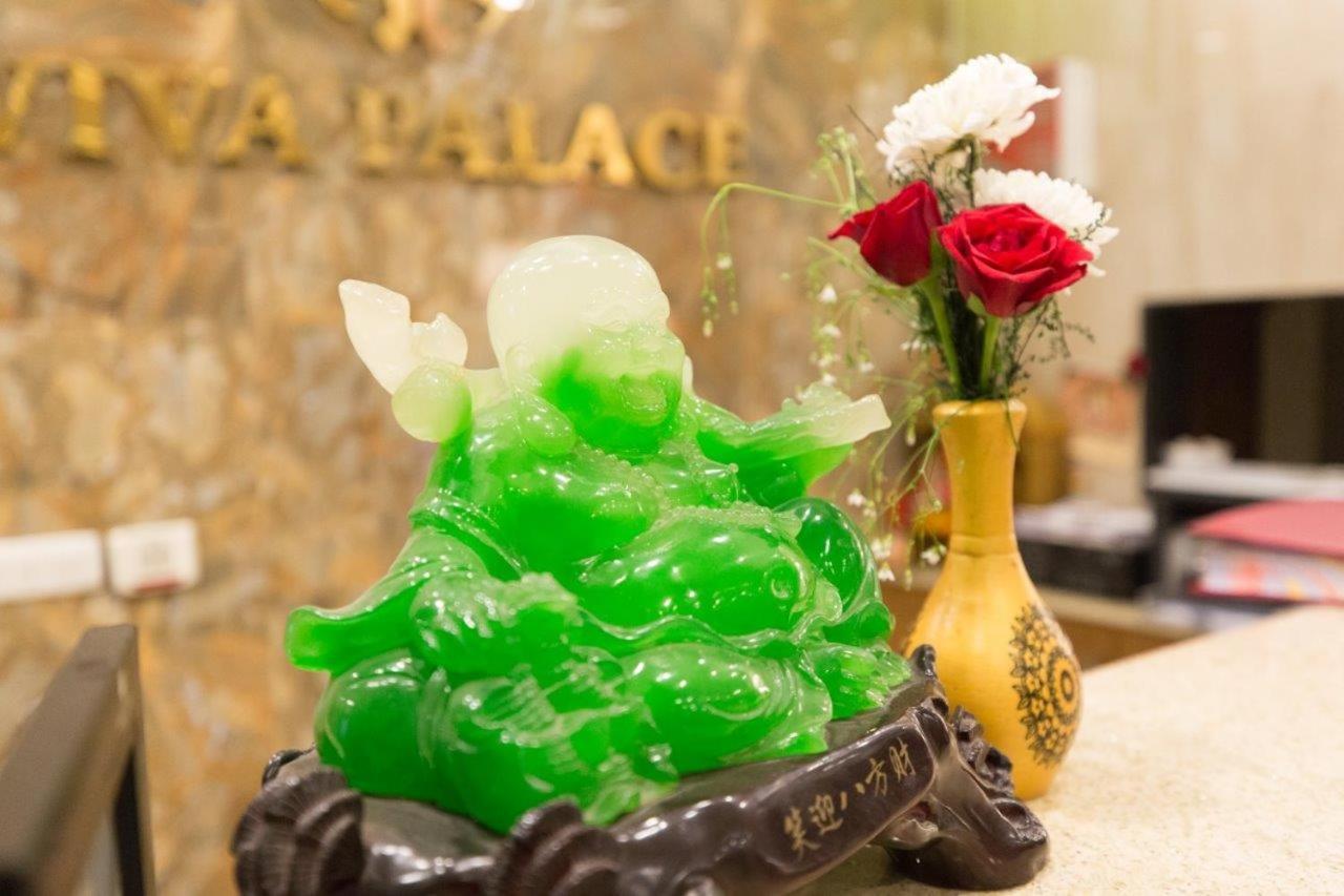 Hotel Hotel Viva Palace By Opo New Delhi